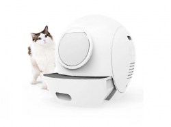 Inodoro gatos